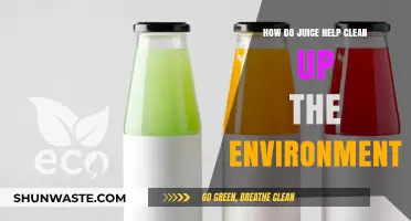 Juice Power: How Sustainable Practices Clean Our Environment Naturally