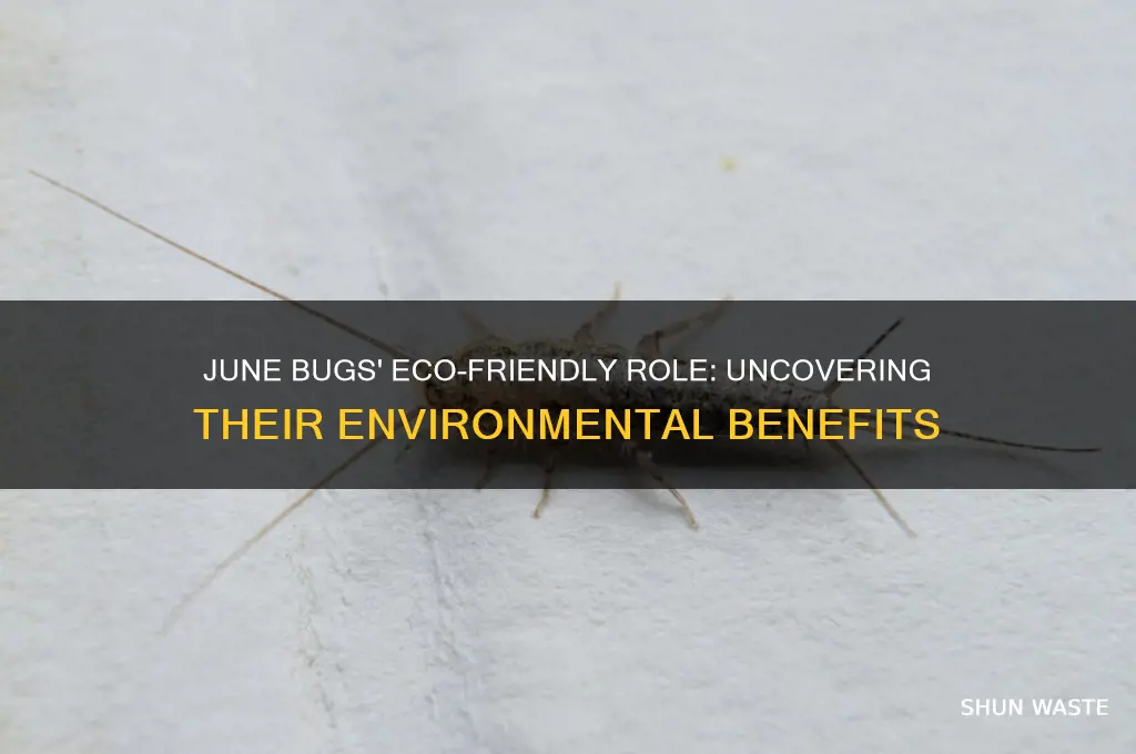 how do june bugs help the environment
