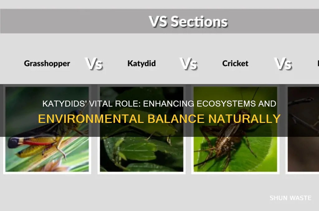how do katydids help the environment
