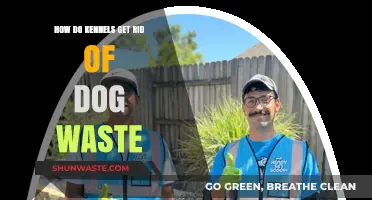 Efficient Kennel Waste Management: Cleaning Dog Waste the Right Way