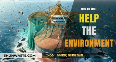 Krill's Vital Role in Sustaining Ocean Ecosystems and Climate Balance