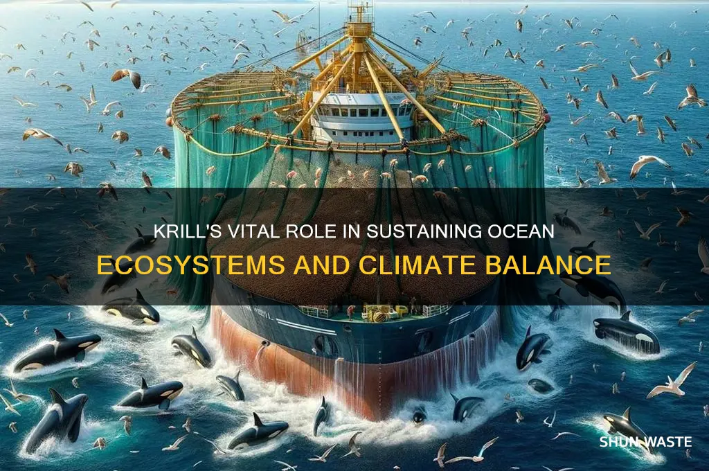 how do krill help the environment