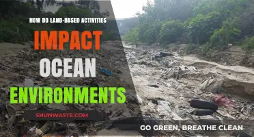 Land's Hidden Reach: How Human Activities Threaten Ocean Health