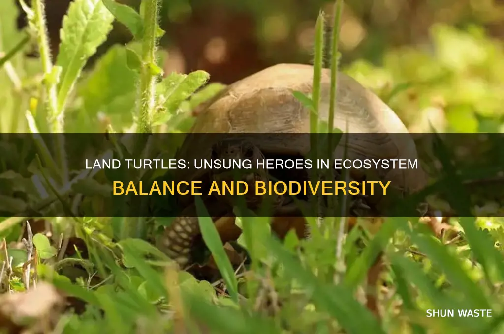 how do land turtles help the environment