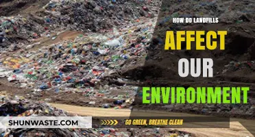 Landfills' Environmental Impact: Pollution, Wildlife, and Climate Change Concerns