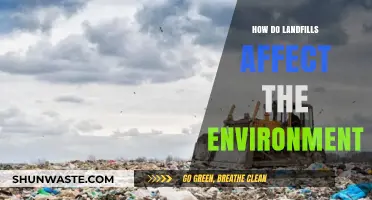 Landfills' Environmental Impact: Pollution, Wildlife, and Climate Change Explained