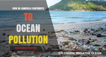 Landfills' Toxic Legacy: Ocean Pollution's Dark Truth