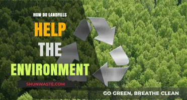 Landfills: Unveiling Surprising Environmental Benefits and Sustainable Practices