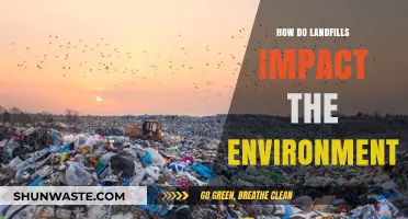 Landfills' Environmental Impact: Pollution, Wildlife, and Climate Change Concerns