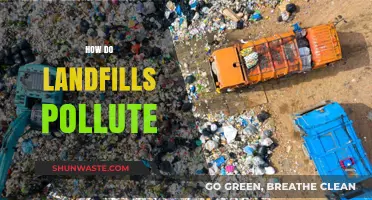Landfills: Harmful Pollutants and Their Impact