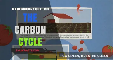 Landfills' Role in the Carbon Cycle: Waste, Emissions, and Impact