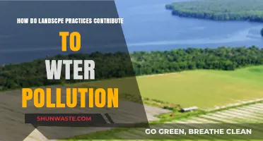 Landscaping's Impact: Water Pollution Sources and Solutions