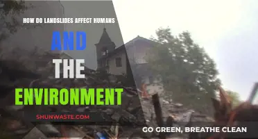 Landslides' Devastating Impact: Human Lives, Ecosystems, and Environmental Consequences