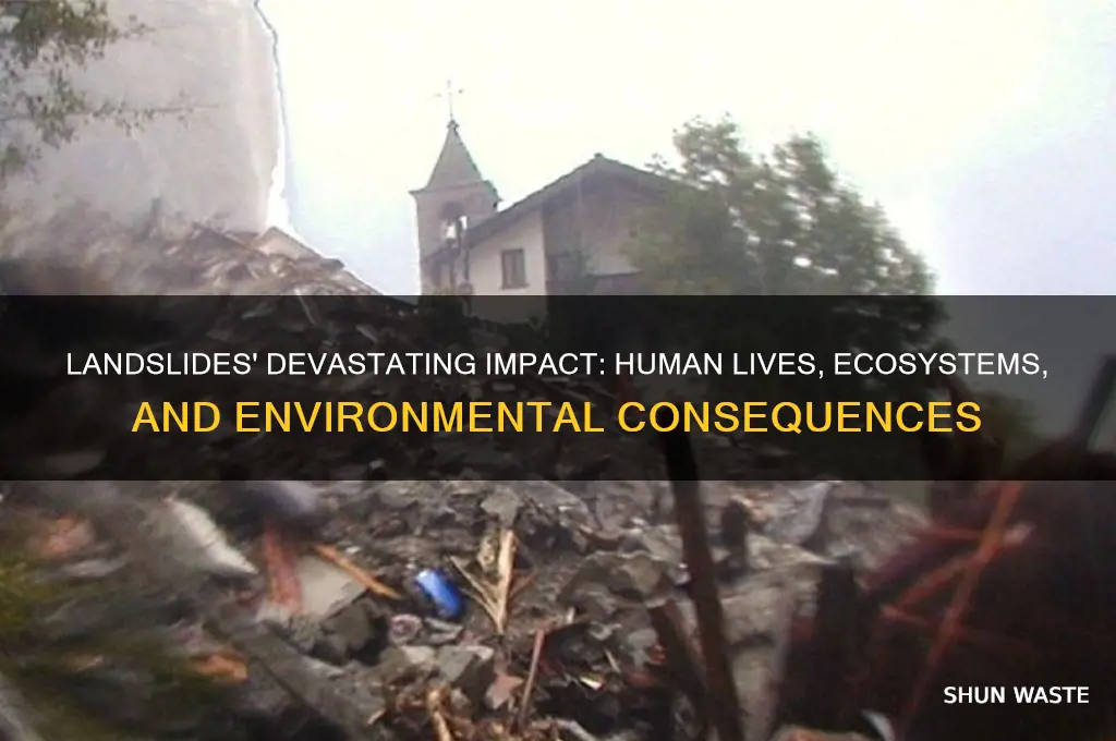 how do landslides affect humans and the environment