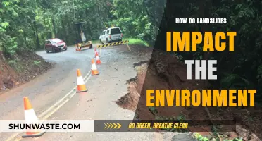 Landslides' Environmental Impact: Destruction, Erosion, and Ecosystem Disruption Explained