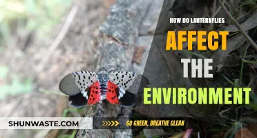 Lanternflies' Environmental Impact: Threats to Ecosystems and Biodiversity Explained
