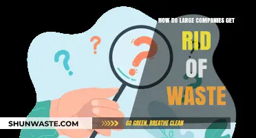 Sustainable Strategies: How Large Companies Eliminate Waste Efficiently