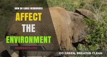 Large Herbivores' Impact: Shaping Ecosystems and Environmental Balance Explained