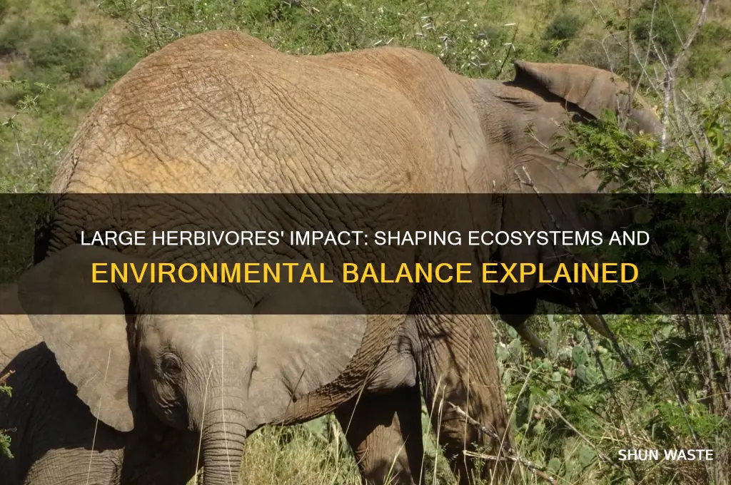 how do large herbivores affect the environment