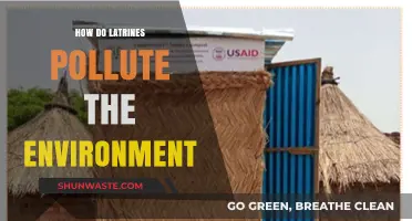 Latrines: Environmental Impact and Pollution Risks