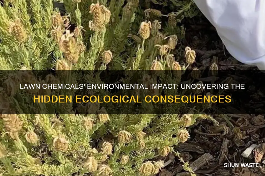 how do lawn chemicals affect the environment