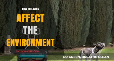 Lawns' Environmental Impact: Biodiversity Loss, Water Usage, and Pollution Concerns