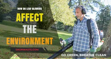 Leaf Blowers' Environmental Impact: Noise, Emissions, and Ecosystem Disruption Explained