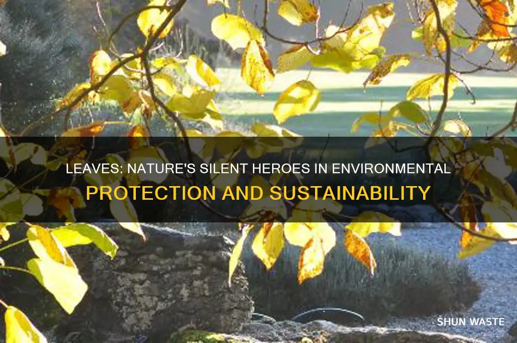 how do leaves help the environment