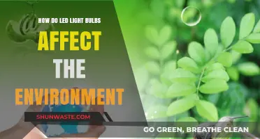 LED Light Bulbs: Environmental Impact and Sustainable Lighting Solutions