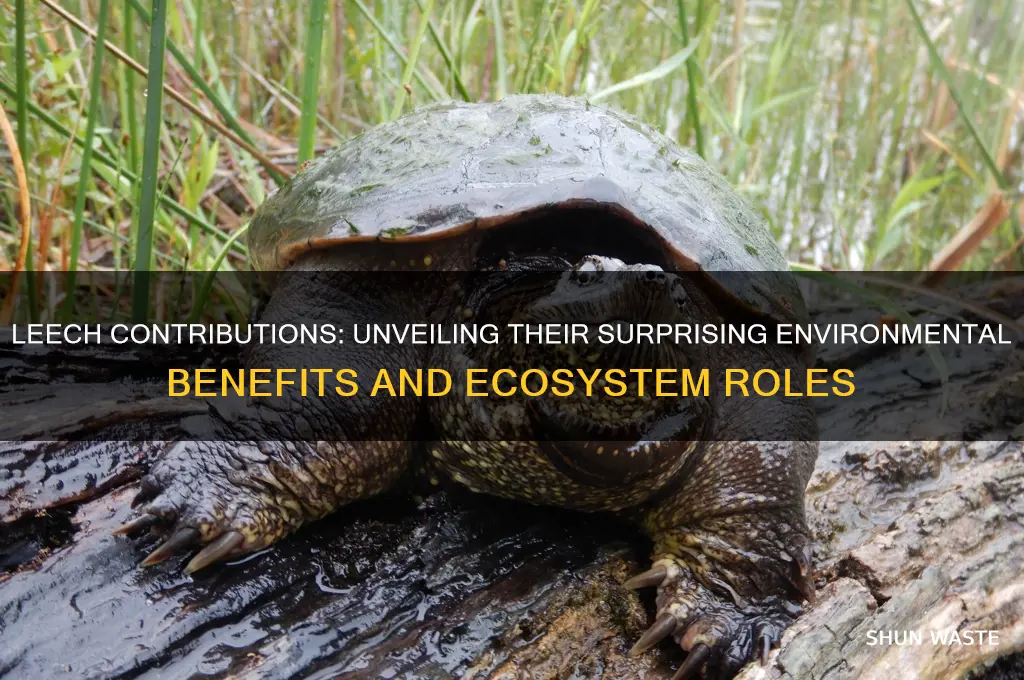 how do leech help the environment