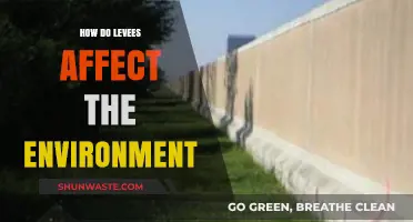 Levees' Environmental Impact: Balancing Flood Control and Ecosystem Disruption