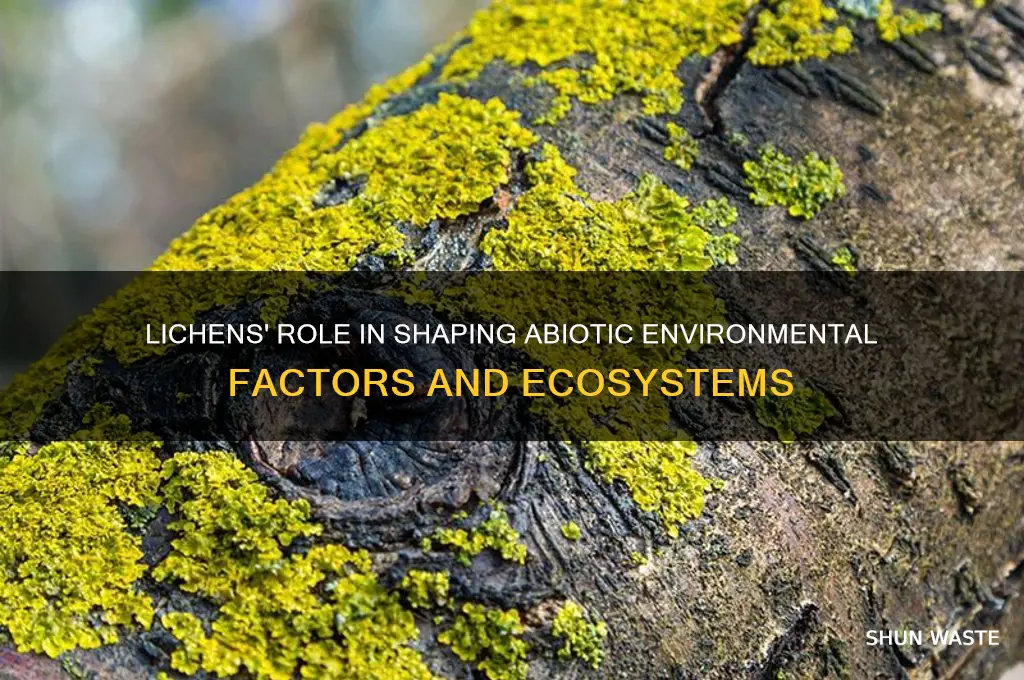 how do lichens affect the abiotic components in the environment