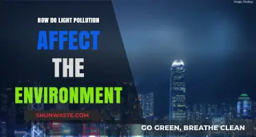 Light Pollution's Hidden Impact: Disrupting Ecosystems and Environmental Balance