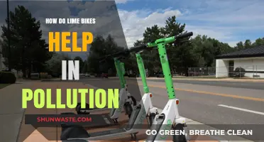 Lime Bikes: Sustainable Solution to Pollution