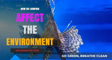 Lionfish Invasion: Environmental Impacts and Ecosystem Disruption Explained