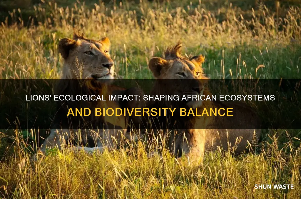 how do lions affect the environment