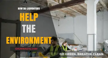 Liquidators: Unsung Eco-Heroes in Sustainable Waste Management and Recycling