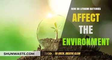 Lithium Batteries' Environmental Impact: Benefits, Drawbacks, and Sustainable Solutions