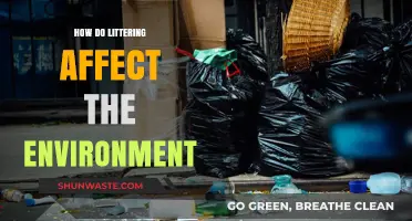 Littering's Devastating Impact: How Careless Waste Harms Our Environment