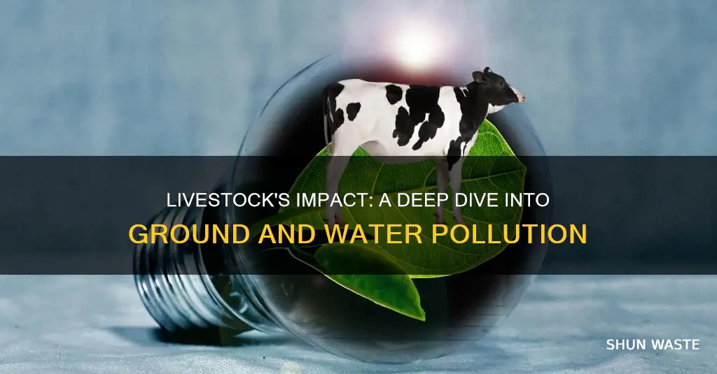 how do livestock contribute to ground and water pollution