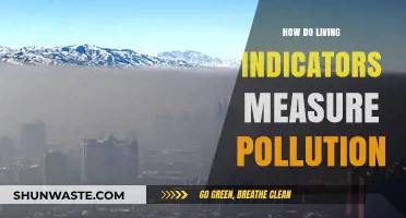 Living Indicators: Pollution's Canary in a Coal Mine