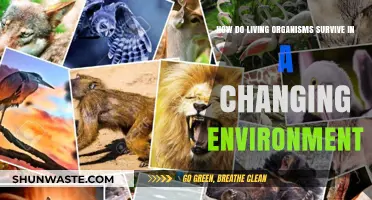 Adapting to Change: Survival Strategies of Living Organisms in Dynamic Environments