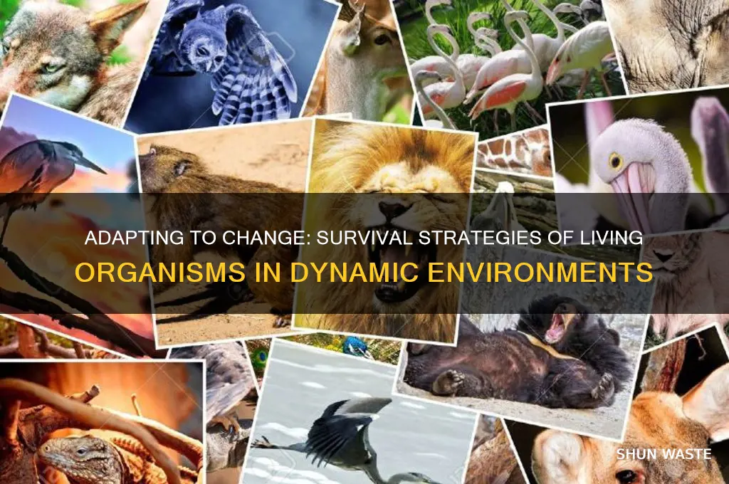 how do living organisms survive in a changing environment