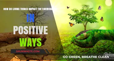 Positive Environmental Impacts: How Living Things Sustain Our Planet