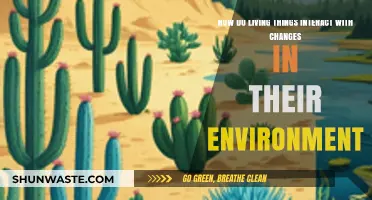 Adapting to Survive: How Living Things Respond to Environmental Changes