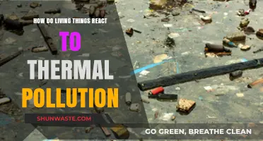 Thermal Pollution: Impact on Living Organisms