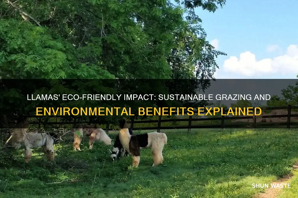 how do llamas help the environment