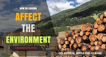 Logging's Impact: Environmental Consequences and Ecosystem Disruption Explained