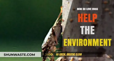 Love Bugs: Unsung Heroes in Boosting Ecosystem Health Naturally