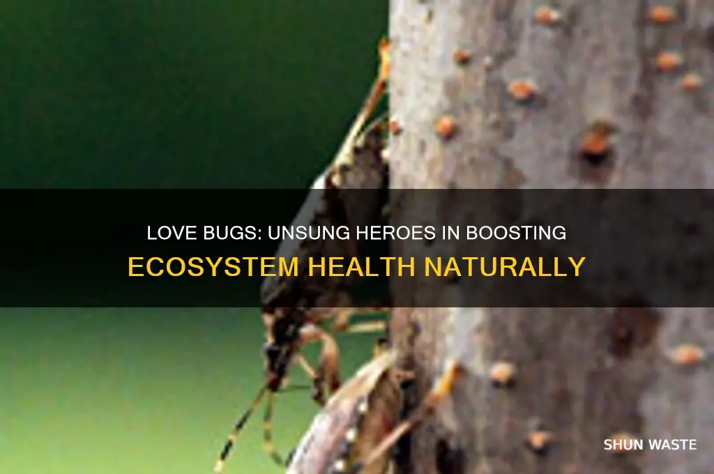 how do love bugs help the environment